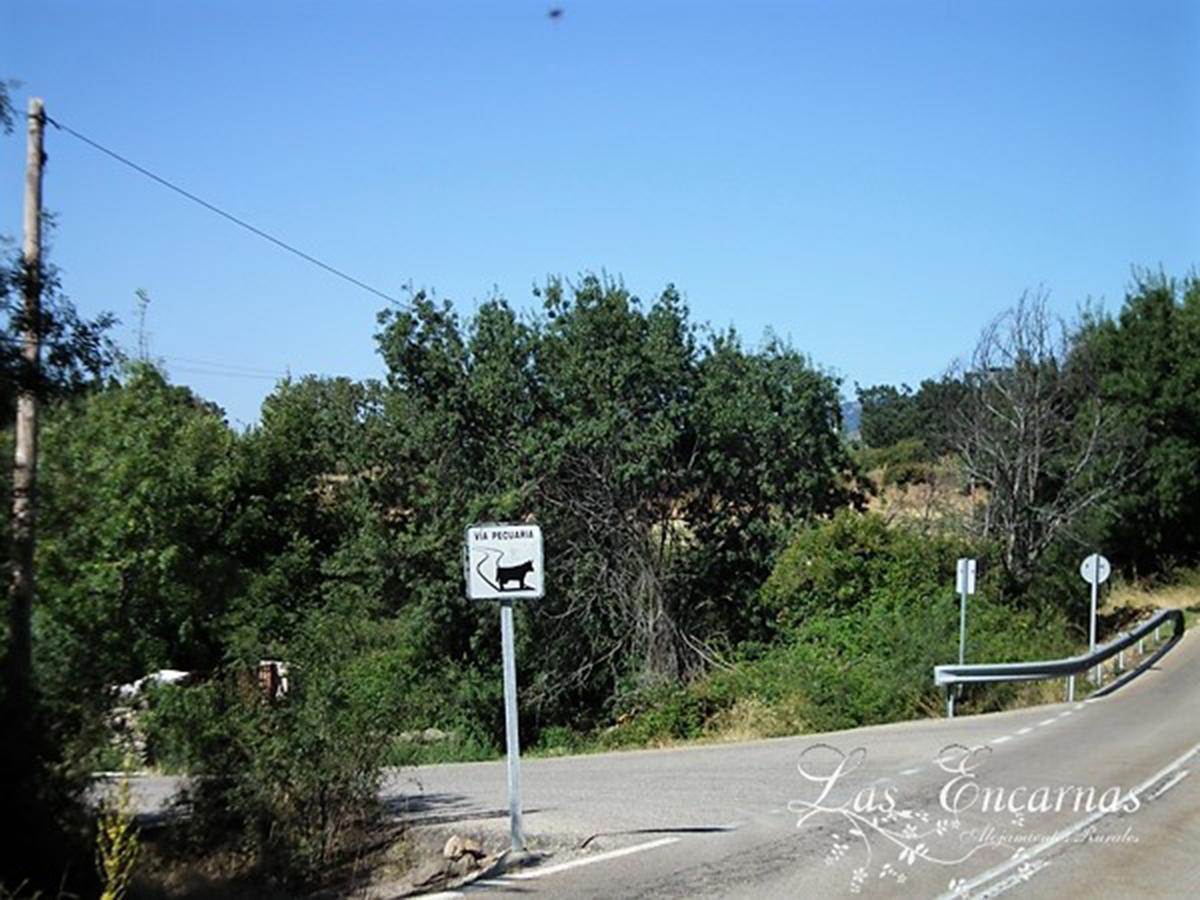 Las Encarnas Braojos de la Sierra Ngoại thất bức ảnh